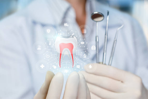 Best Full Mouth Reconstruction  in Bridgeport, WV